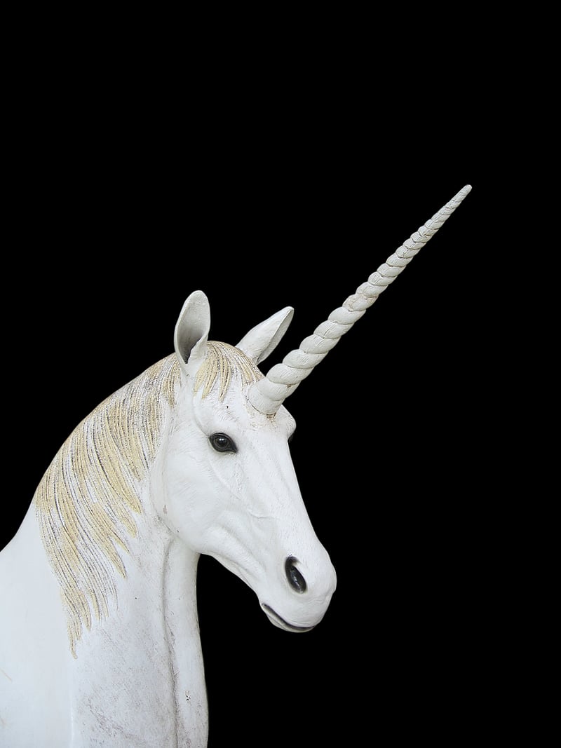 Unicorn garden statue